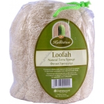 Loofah, naturalna gąbka lądowa